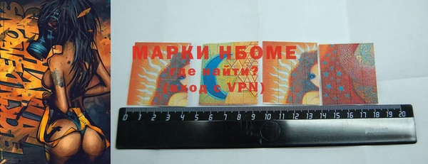 шишки Богородицк
