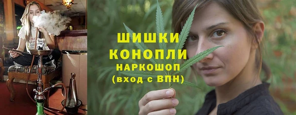 шишки Богородицк