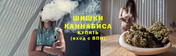 ПСИЛОЦИБИНОВЫЕ ГРИБЫ Богданович
