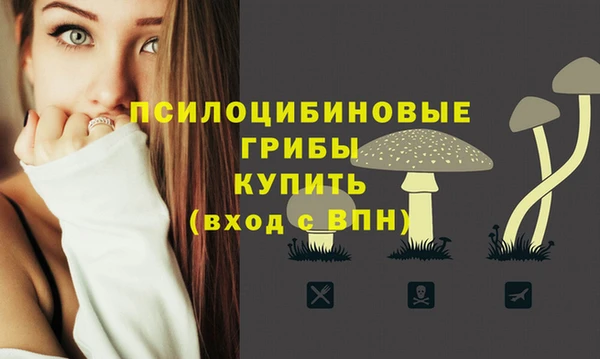 ПСИЛОЦИБИНОВЫЕ ГРИБЫ Богданович