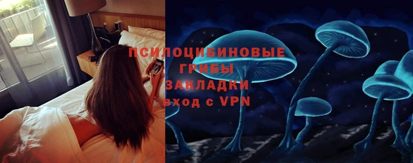 шишки Богородицк