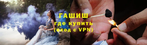 шишки Богородицк