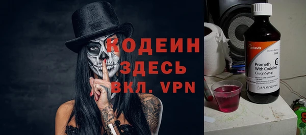 шишки Богородицк