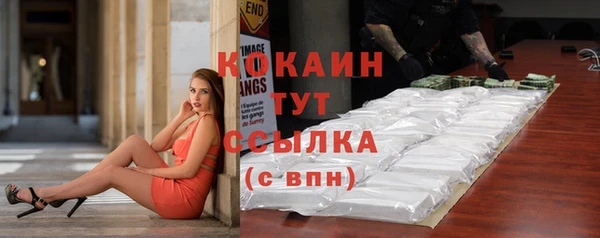 шишки Богородицк
