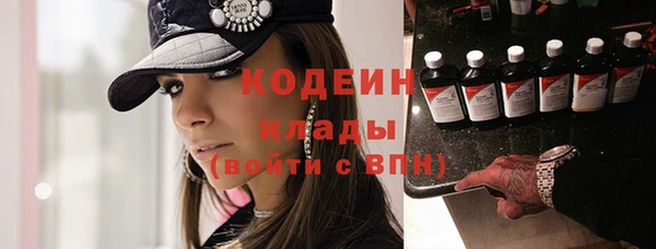 шишки Богородицк