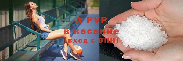 ПСИЛОЦИБИНОВЫЕ ГРИБЫ Богданович