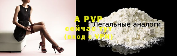 ПСИЛОЦИБИНОВЫЕ ГРИБЫ Богданович