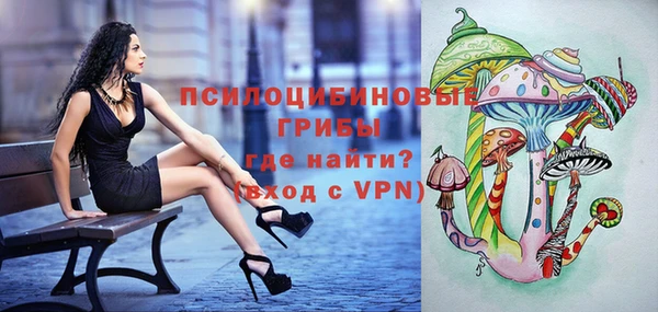 ПСИЛОЦИБИНОВЫЕ ГРИБЫ Богданович