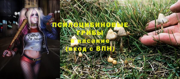 ПСИЛОЦИБИНОВЫЕ ГРИБЫ Богданович
