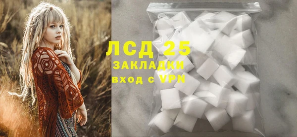 ПСИЛОЦИБИНОВЫЕ ГРИБЫ Богданович