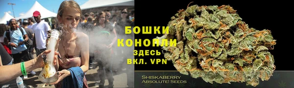 ПСИЛОЦИБИНОВЫЕ ГРИБЫ Богданович