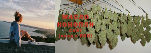 шишки Богородицк