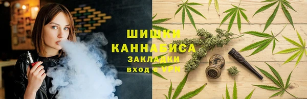 шишки Богородицк