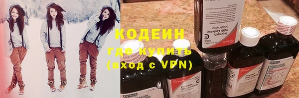 ПСИЛОЦИБИНОВЫЕ ГРИБЫ Богданович